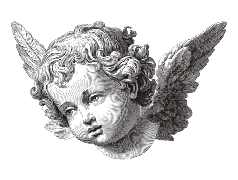Cherubic angel head with detailed features and soft curls png