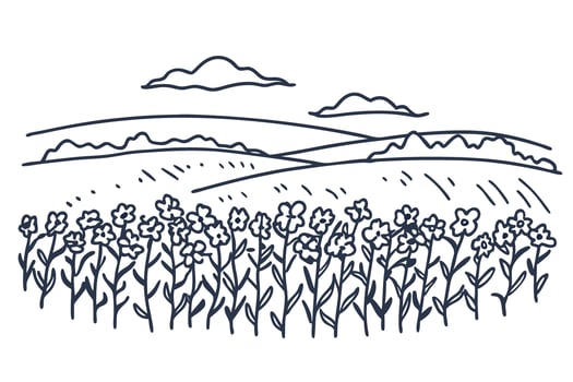 Wildflower meadow and rolling hills landscape illustration, blooming flowers with distant clouds and nature scenery vector