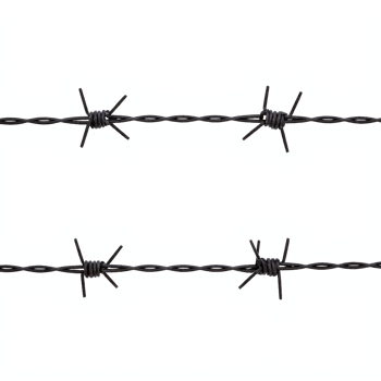 Close up of Metal Barbed Wire with Sharp Spikes Isolated on Transparent Background Clipping Path png