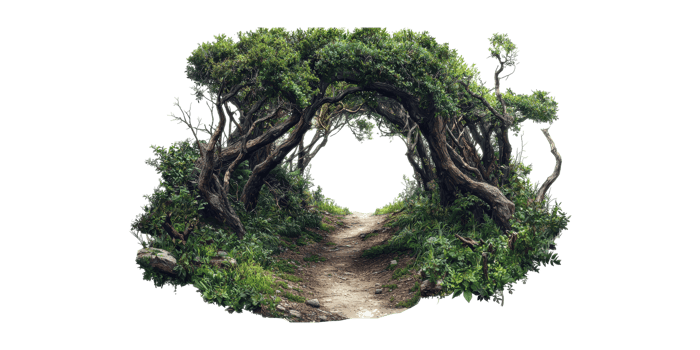Enchanted Forest Pathway With Tree Archway. Nature'S Gateway To Adventure Isolated On Transparent Background png
