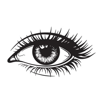 Detailed black and white illustration of an eye with eyelashes and iris vector