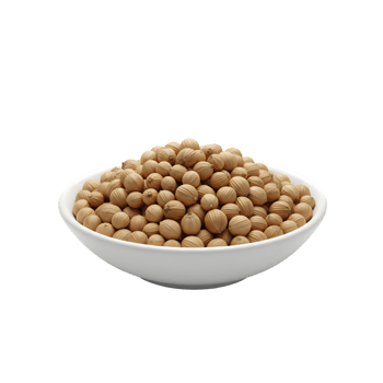 A white ceramic bowl overflowing with dried whole coriander seeds showcasing their textured spherical shape and light brown color isolated on transparent background png