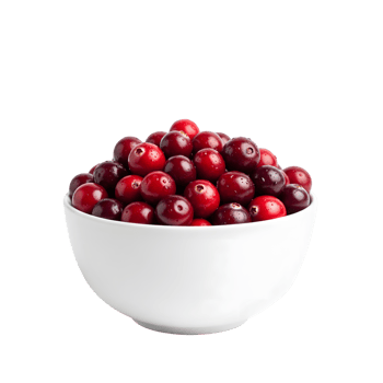 A white ceramic bowl filled with fresh ripe juicy cranberries glistening with water droplets isolated on transparent background png