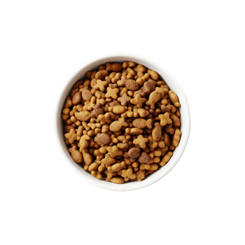 A white bowl filled with dry cat food kibble in various shapes including fish and stars isolated on transparent png