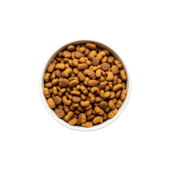 A white ceramic bowl filled with dry brown kibble dog food viewed from directly above isolated on transparent background png