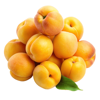 fresh yellow apricots png