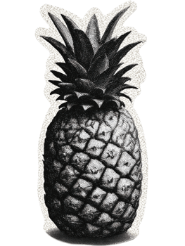 Vintage Pineapple Illustration. Tropical Fruit Retro Illustration Isolated On Transparent Background png