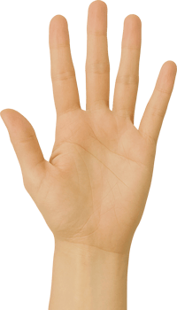 A hand with five fingers is shown png