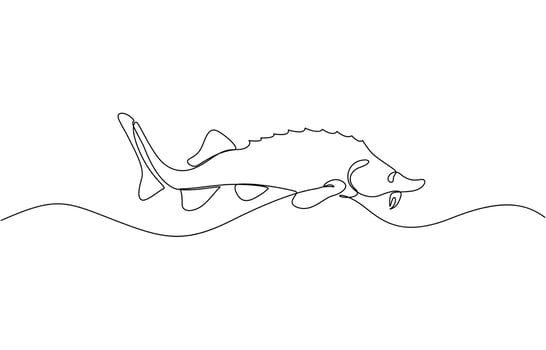 Sturgeon fish in continuous line art drawing style. Minimalist black linear sketch, Sturgeon fish in continuous line art drawing style. Minimalist black linear sketch on white background. vector