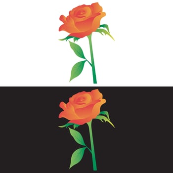Rose line art free design for online download. vector