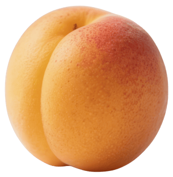 Apricot isolated on transparent background png