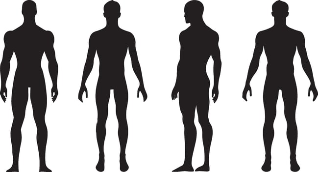 Four Male Figure Silhouettes for Design and Anatomy Reference vector