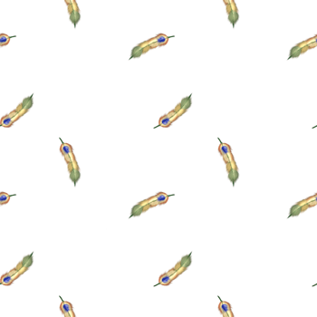 Elegant Peacock Feather Pattern on Black png