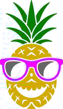 Pineapple with Sunglasses vector