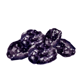 Prunes, dried plum, watercolor illustration,hand drawing png