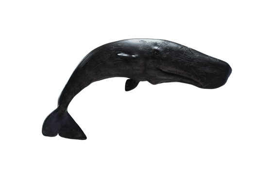 Wanderer of the Abyss png