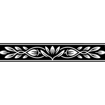 Elegant Black and White Floral Border, Vintage, Decorative vector