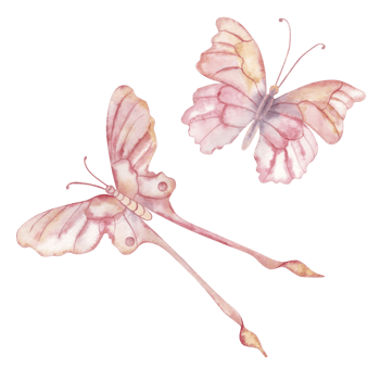 Watercolor illustration of two elegant butterflies in soft pink, peach, and purple hues. Delicate wings and graceful forms, perfect for spring, nature, feminine decor, wedding, or floral designs png