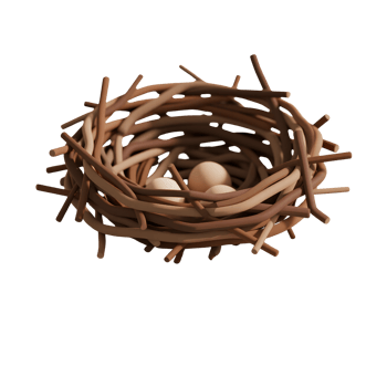 Bird nest with three eggs isolated on transparent background png