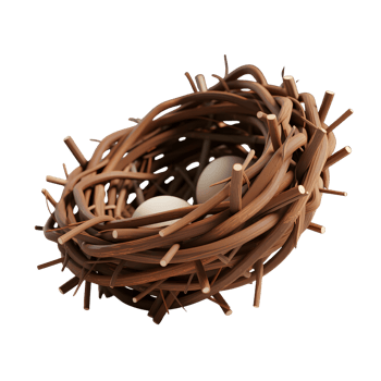 Bird nest with eggs isolated on transparent background png