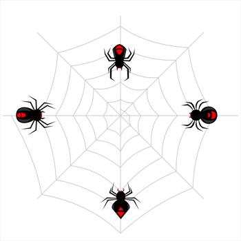 various black spiders on web. Scary black spider for Halloween png