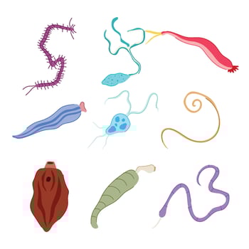 set parasite cartoon illustration vector