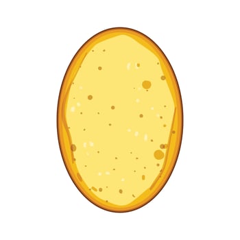 yellow bacteria sponge cartoon illustration vector