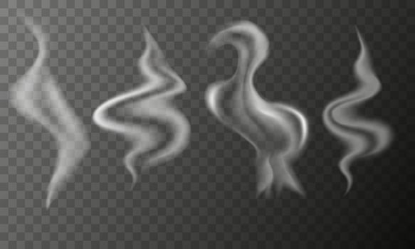 Realistic smoke and steam set. Overlays, hot drinks, cooking, backgrounds elements design vector