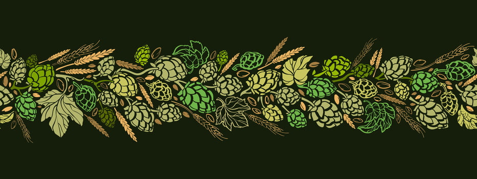 Hops and malt for beer brewing. Endless pattern vector