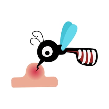 Mosquito Biting Human Skin Illustration vector