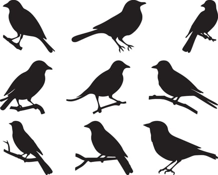 Nine Silhouettes of Birds on Branches vector