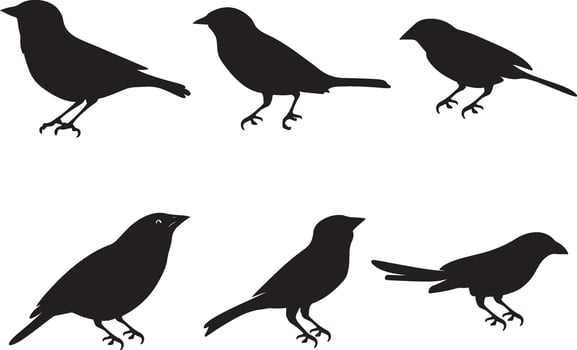 Simple Black Silhouette Birds in Various Positions vector