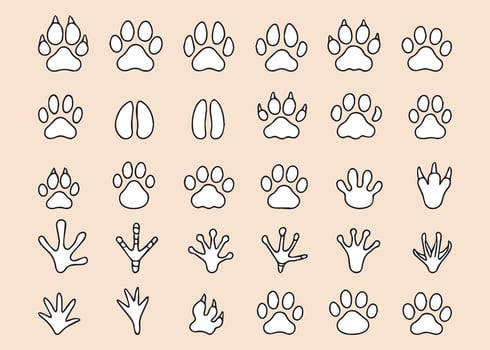 Large set of animal paw prints. Paw prints in different shapes in doodle style. Hand drawn illustration vector