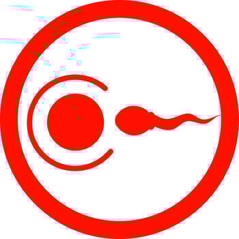 Red flat design illustration silhoutte of sperm and ovum in fertilization ivf insemination procedure. Fit for reproduction education vector