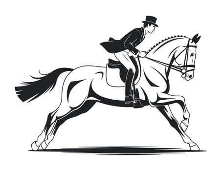Elegant Equestrian Rider in Full Gallop Silhouette vector