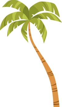 Tropical green palm tree with leaves. Hand drawn simple cartoon illustration. vector