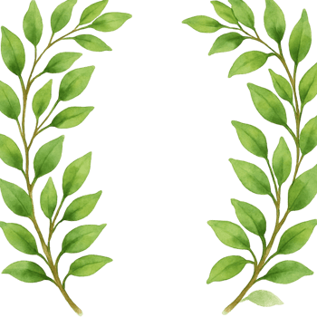 Watercolor green laurel wreath clip art png