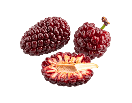 Fresh Mulberries Whole Halved and Ripe Displaying Juicy Texture and Rich Color. png
