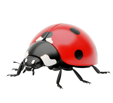Red ladybug minimalist 3D rendering in soft and smooth renderer png