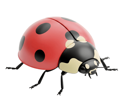 Red ladybug minimalist 3D rendering soft and smooth renderer png