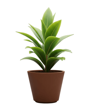 Potted Green Houseplant Minimalist 3D Rendering in a Soft And Smooth Renderer png