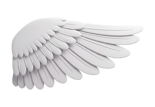 White Angel Wing Minimalist 3D Rendering a Soft And Smooth Renderer png