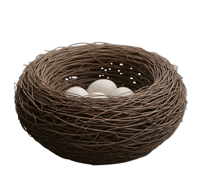 Birds Nest with Eggs Minimalist 3D Rendering in a Soft And Smooth Renderer png