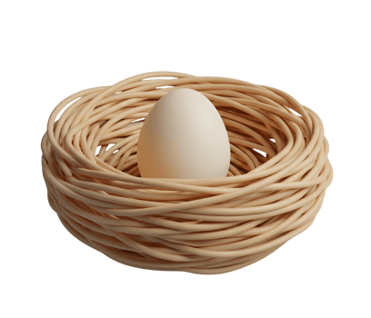 Birds Nest with Eggs Minimalist 3D Rendering in a Smooth Renderer png