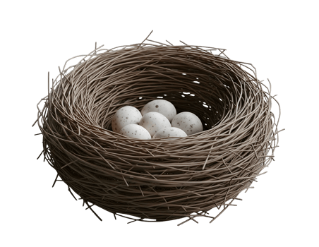 Birds Nest with Eggs Minimalist 3D Rendering Smooth Renderer png