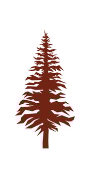 Abstract pine tree vector