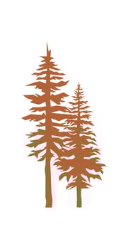 Flat fir tree silhouette vector