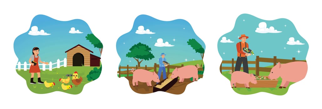 Livestock care concept. A little girl feeds chickens, young farmer feeds pet pigs on the farm. vector