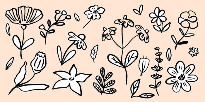 Floral designs showcasing various hand-drawn flowers on a soft pastel background. vector