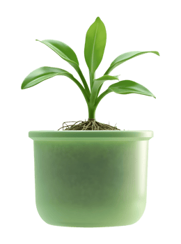 Young green plant with visible roots growing in green pot, symbolizing fresh growth and vitality png